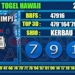 Togel Online Terbaik, Agen Togel Terpercaya, Bandar Togel Terbaik